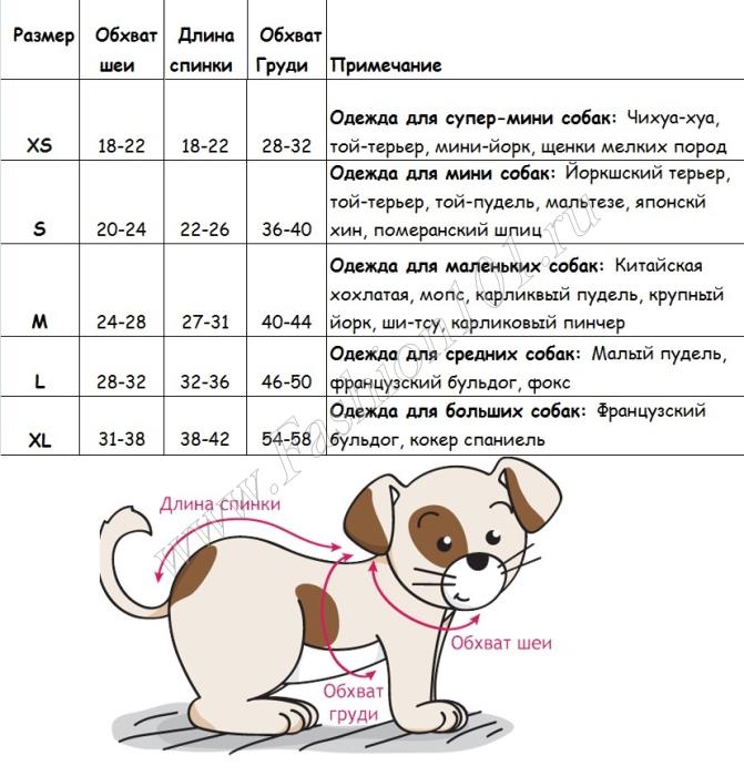 Как снять мерки с собаки: размерная таблица
